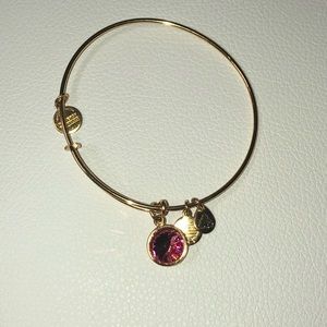 Alex and Ani October bracelet